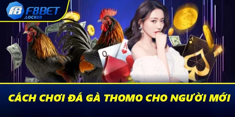 Đá Gà Thomo Là Gì? Thông Tin Chi Tiết Tân Binh Cần Biết 3 Cách chơi đá gà Thomo cho người mới
