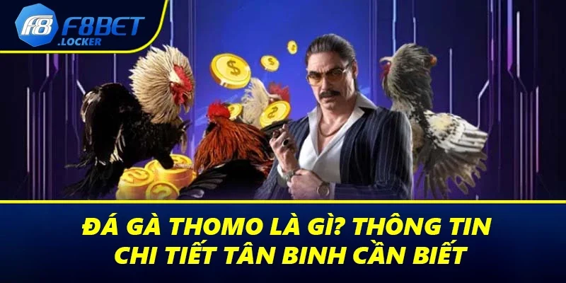 Đá Gà Thomo Là Gì? Thông Tin Chi Tiết Tân Binh Cần Biết