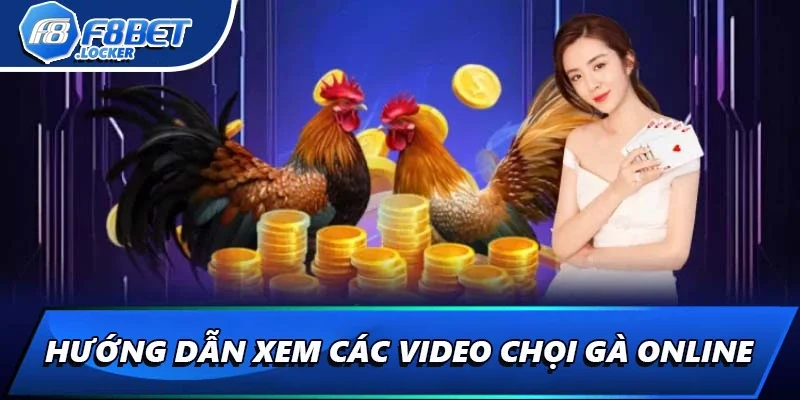 Video Đá Gà: Hướng Dẫn Xem Chọi Gà Online Chi Tiết Nhất 2 Hướng dẫn xem các video chọi gà online