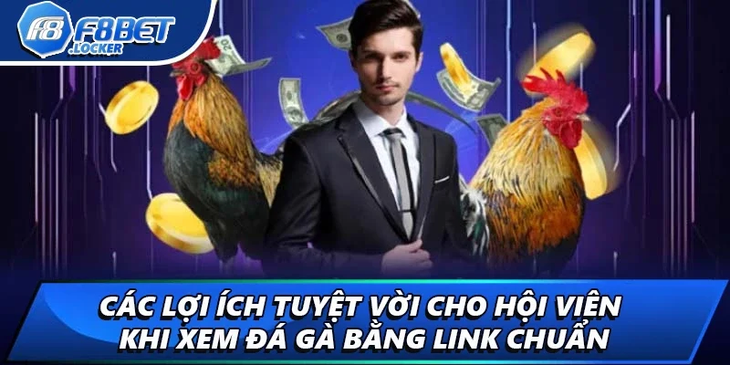 Link Đá Gà: Hướng Tìm Kiếm Link Xem Chọi Gà Chuẩn 3 Các lợi ích tuyệt vời cho hội viên khi xem đá gà bằng link chuẩn