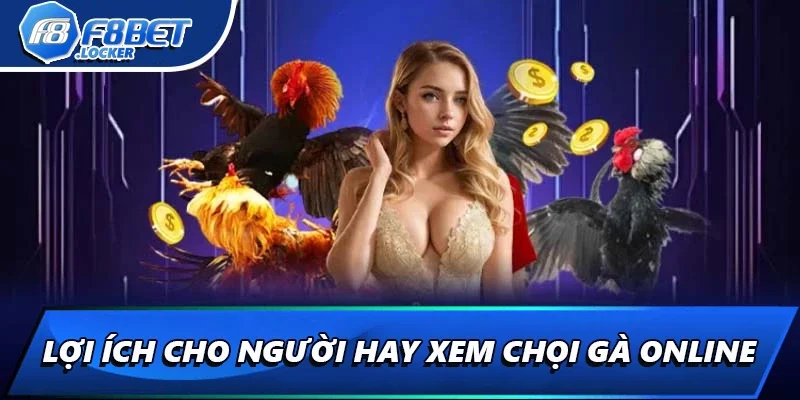 Video Đá Gà: Hướng Dẫn Xem Chọi Gà Online Chi Tiết Nhất 3 Lợi ích cho người hay xem chọi gà online