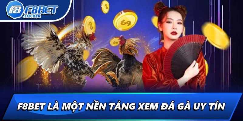 Video Đá Gà: Hướng Dẫn Xem Chọi Gà Online Chi Tiết Nhất 4 F8BET là một nền tảng xem đá gà uy tín