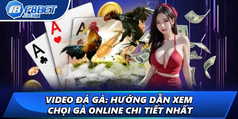 Video Đá Gà: Hướng Dẫn Xem Chọi Gà Online Chi Tiết Nhất